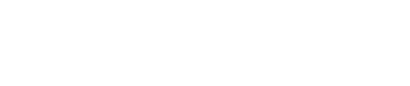 Storey Team logo
